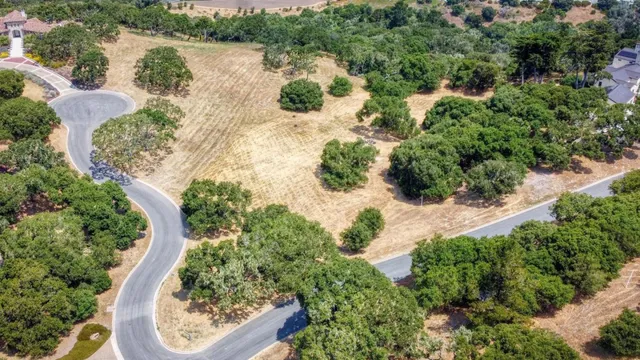 an aerial view of a house with a yard and lake view