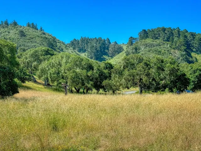 a view of a lake view