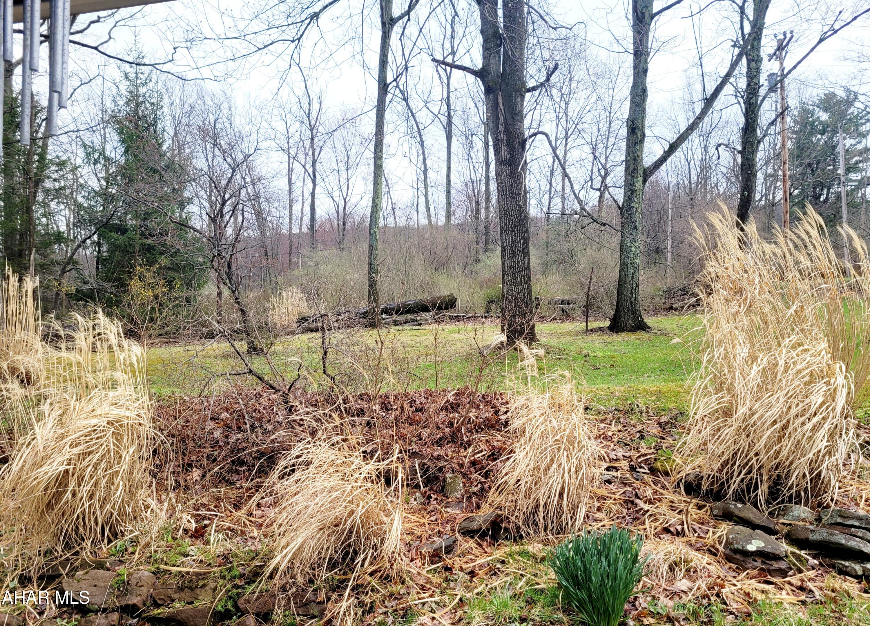 199 Reeds Lane Altoona, PA 16601 - Photo 4 of 25 Front yard, view from the front porch