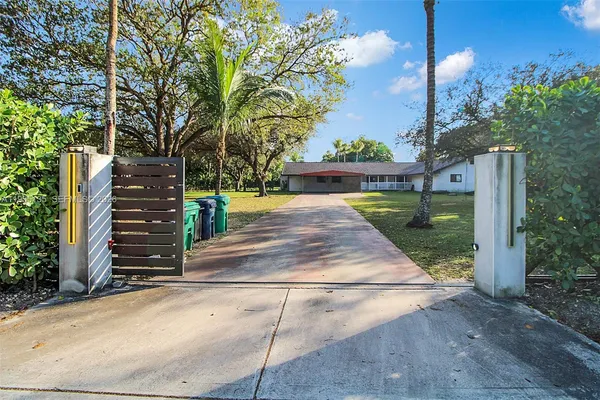a view of a backyard with large trees and plants