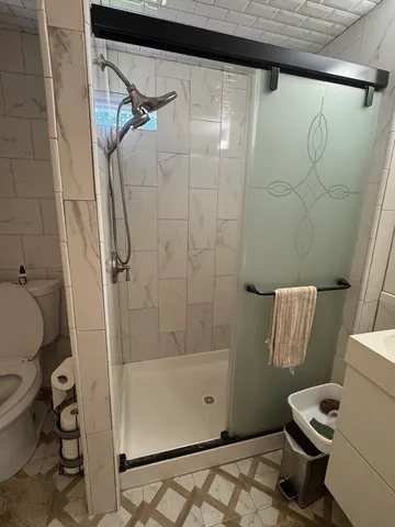 a bathroom with a shower and toilet