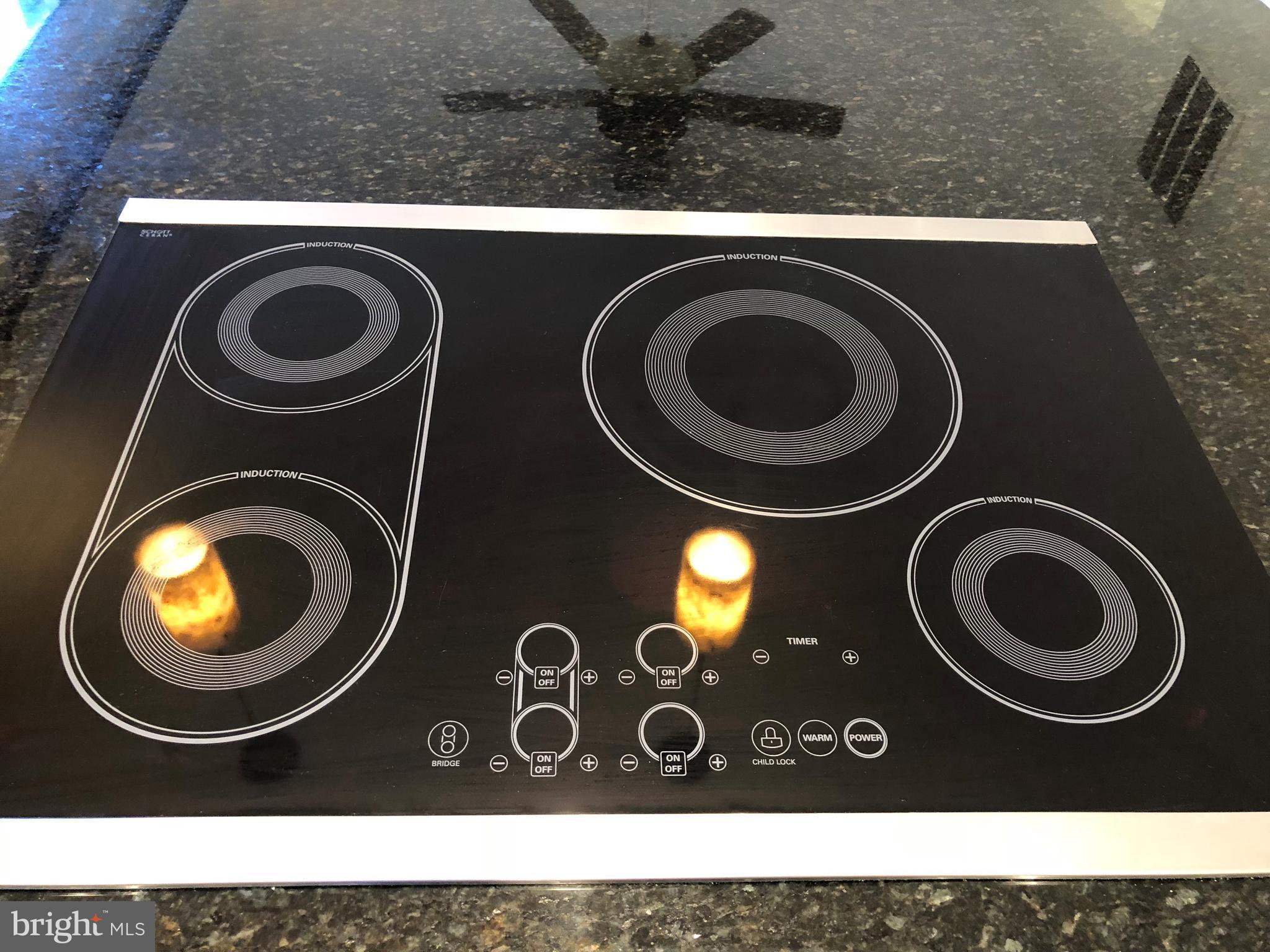 4515 Oak Ridge Drive Street, MD 21154 - Photo 8 of 24 INDUCTION COOKTOP