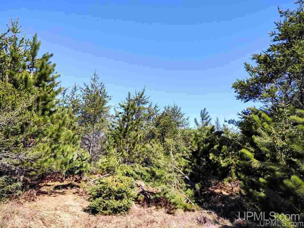 Tbd Forest Hwy 16 Road Iron River, MI 49935 - Photo 31 of 49