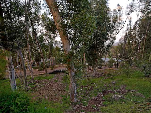 10087 Shadow Road La Mesa, CA 91941 - Photo 17 of 25 Lot is 26,571 square feet