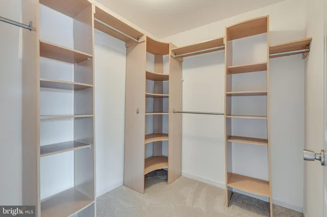 a bathroom with a shower and a toilet