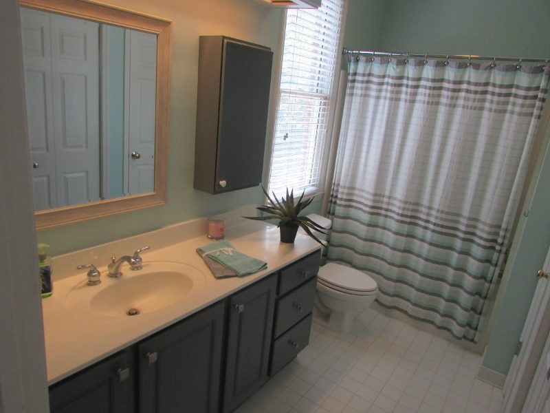 710 North Person Street, Unit 207 Raleigh, NC 27604 - Photo 11 of 12 Master Bath/Spa