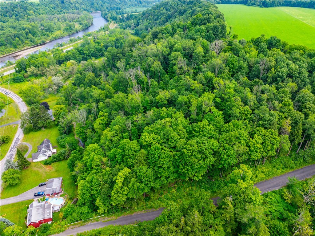 0 State Route 28 Herkimer, NY 13350 - Photo 12 of 19