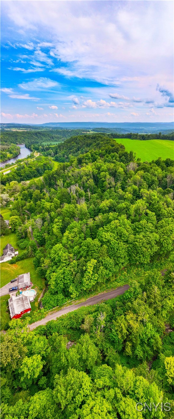 0 State Route 28 Herkimer, NY 13350 - Photo 13 of 19