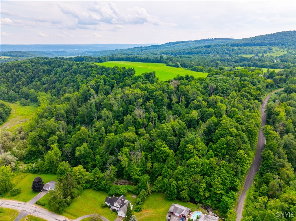 0 State Route 28 Herkimer, NY 13350 - Photo 15 of 19