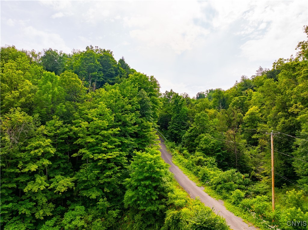0 State Route 28 Herkimer, NY 13350 - Photo 18 of 19