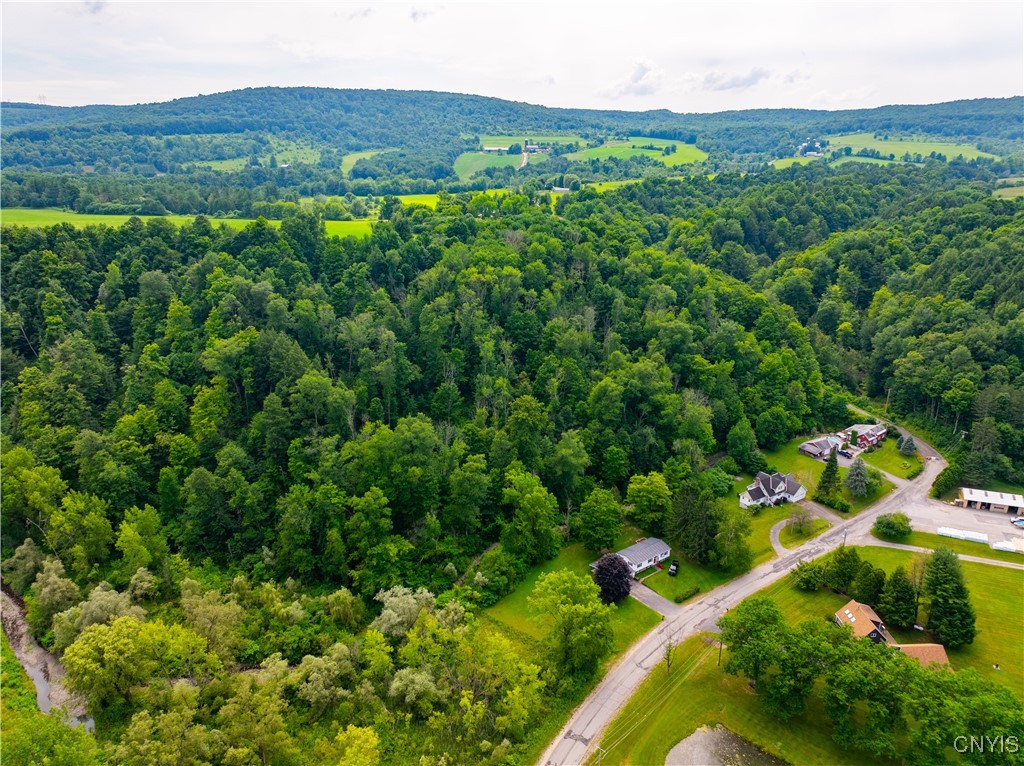 0 State Route 28 Herkimer, NY 13350 - Photo 4 of 19