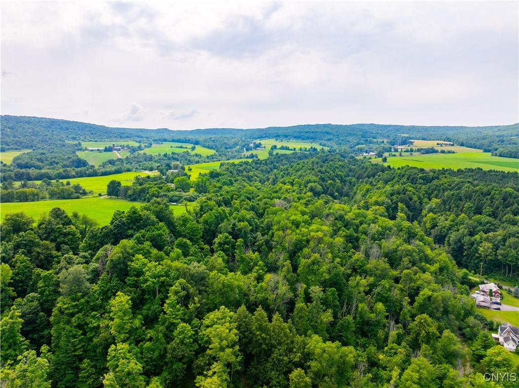 0 State Route 28 Herkimer, NY 13350 - Photo 5 of 19