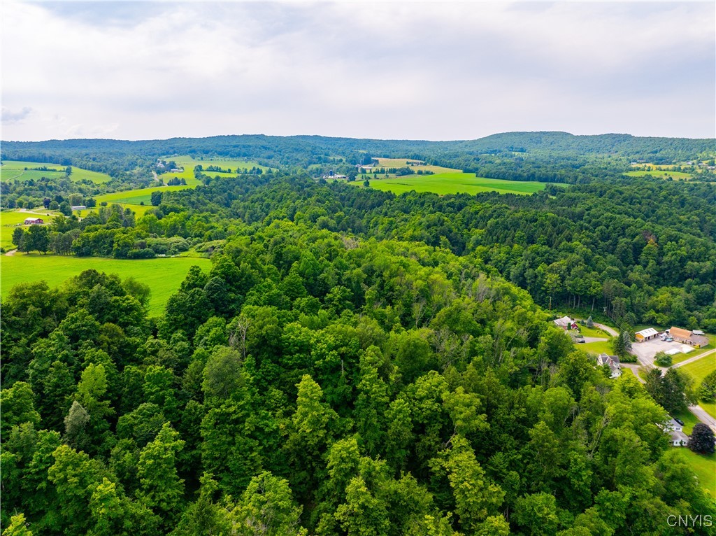0 State Route 28 Herkimer, NY 13350 - Photo 6 of 19