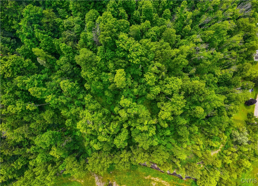 0 State Route 28 Herkimer, NY 13350 - Photo 8 of 19