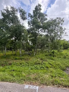 $35,000 | 0 M, West Columbia, TX 77486