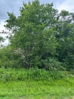 $35,000 | 0 M, West Columbia, TX 77486