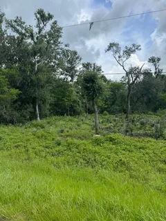 $35,000 | 0 M, West Columbia, TX 77486