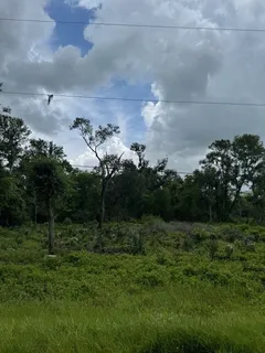 $35,000 | 0 M, West Columbia, TX 77486