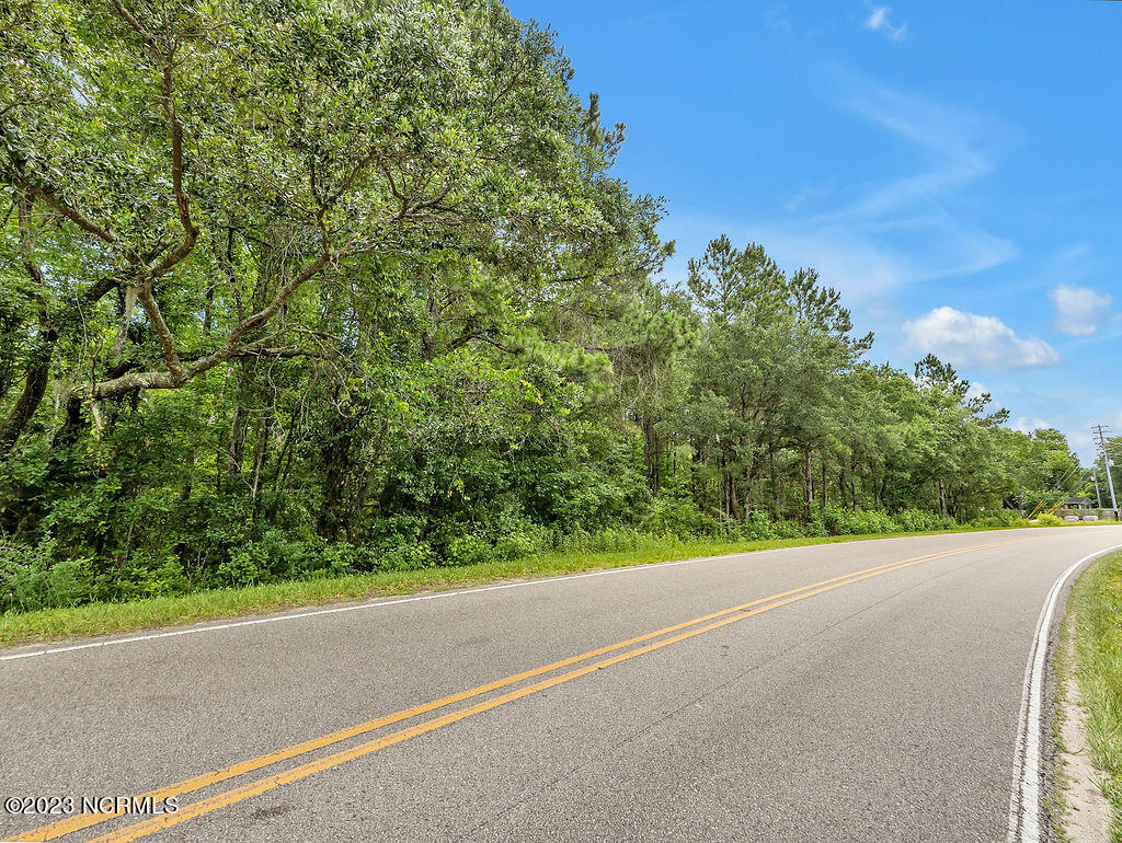10295 Chappell Loop Road Southeast Belville, NC 28451 - Photo 13 of 25 10295ChappellLoopRoadSEGround-4