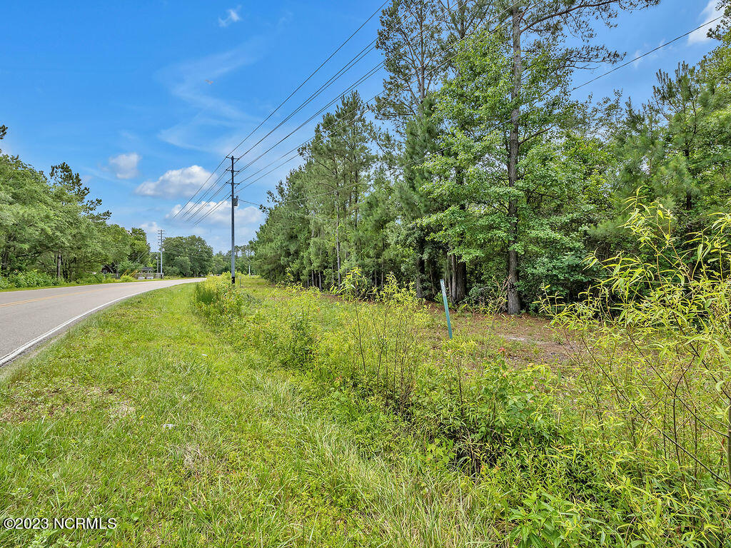 10295 Chappell Loop Road Southeast Belville, NC 28451 - Photo 14 of 25 10295ChappellLoopRoadSEGround-5