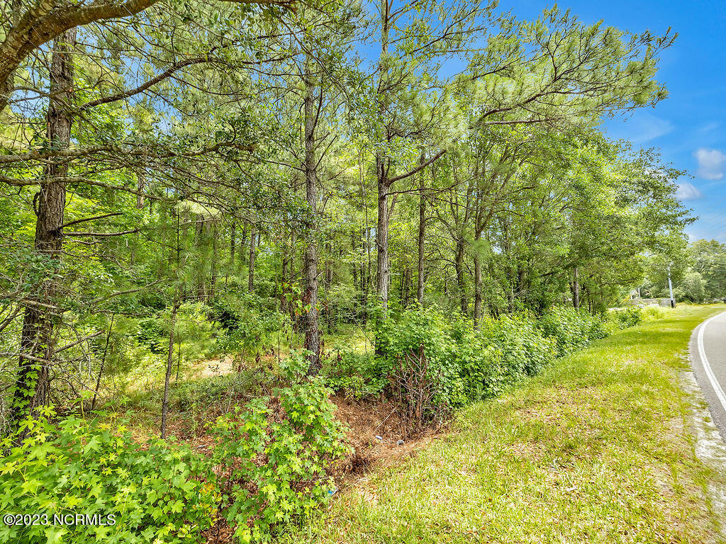 10295 Chappell Loop Road Southeast Belville, NC 28451 - Photo 15 of 25 10295ChappellLoopRoadSEGround-6