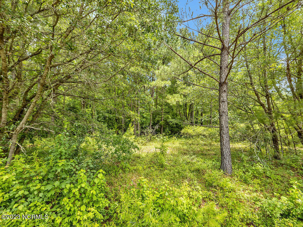 10295 Chappell Loop Road Southeast Belville, NC 28451 - Photo 16 of 25 10295ChappellLoopRoadSEGround-7