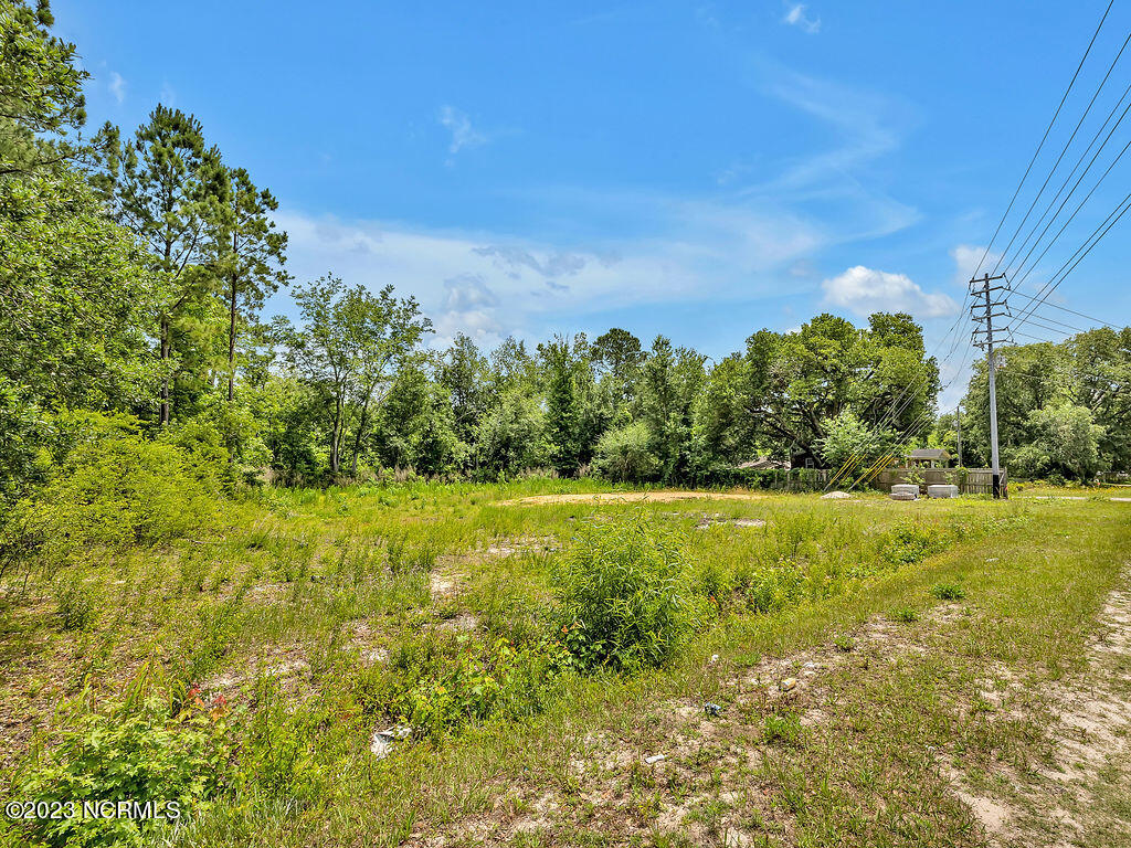 10295 Chappell Loop Road Southeast Belville, NC 28451 - Photo 17 of 25 10295ChappellLoopRoadSEGround-8