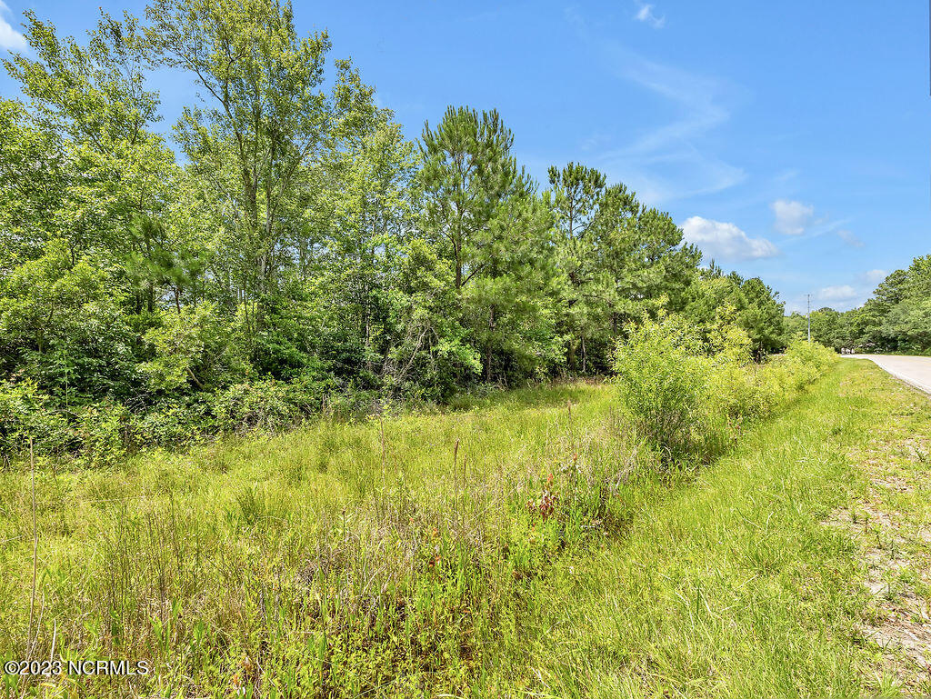 10295 Chappell Loop Road Southeast Belville, NC 28451 - Photo 19 of 25 10295ChappellLoopRoadSEGround-10