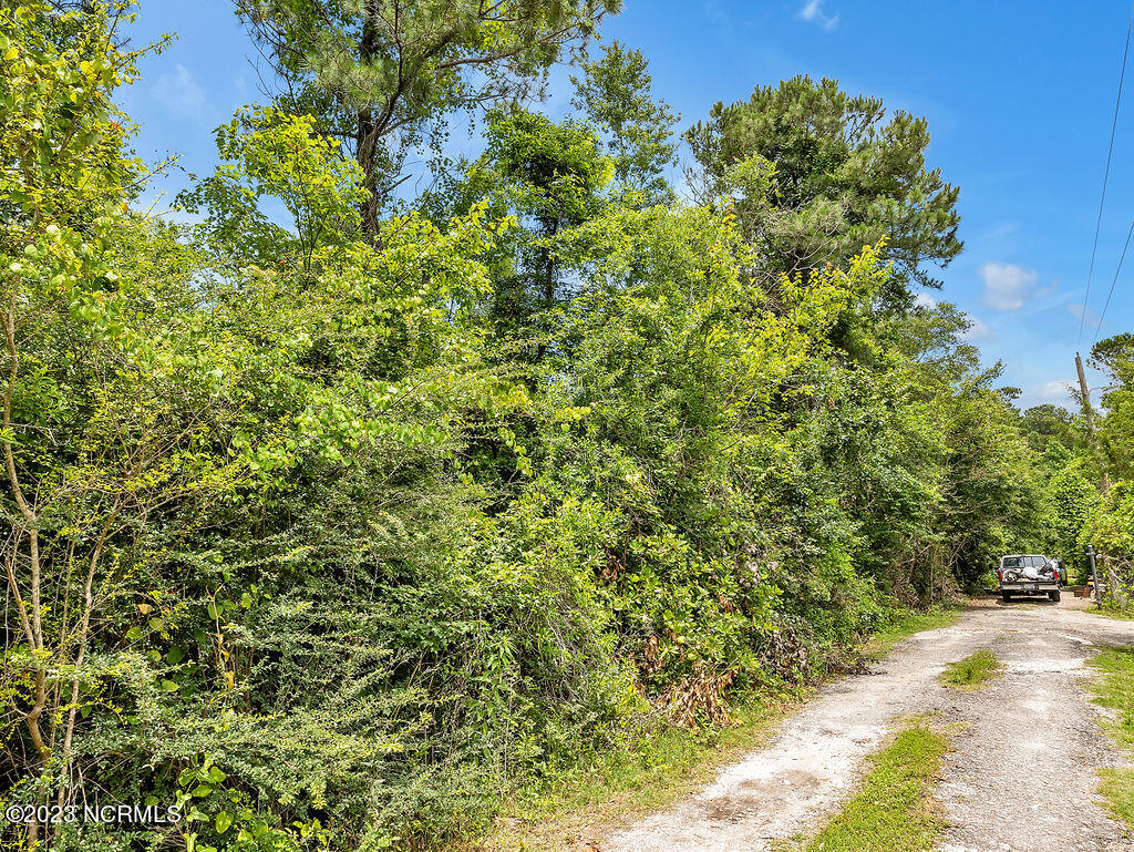 10295 Chappell Loop Road Southeast Belville, NC 28451 - Photo 21 of 25 10295ChappellLoopRoadSEGround-12