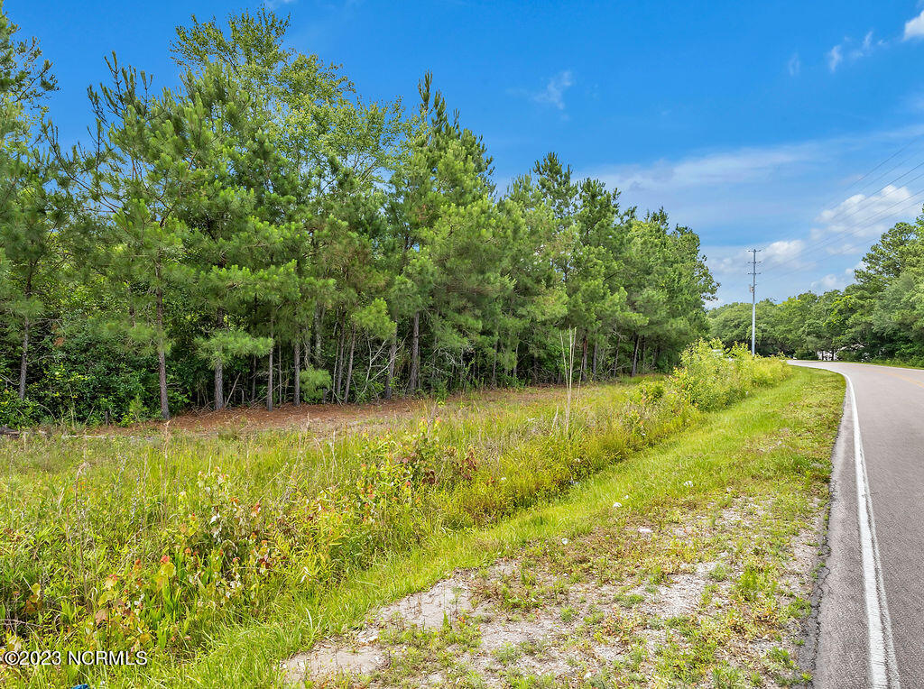 10295 Chappell Loop Road Southeast Belville, NC 28451 - Photo 24 of 25 10295ChappellLoopRoadSEGround-15