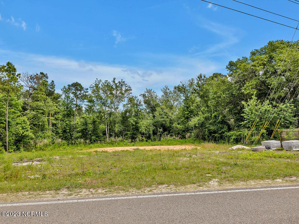 10295 Chappell Loop Road Southeast Belville, NC 28451 - Photo 25 of 25 10295ChappellLoopRoadSEGround-16