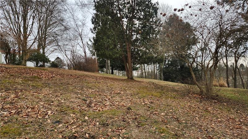 140 High Street Avonmore, PA 15618 - Photo 18 of 19 a view of outdoor space with trees