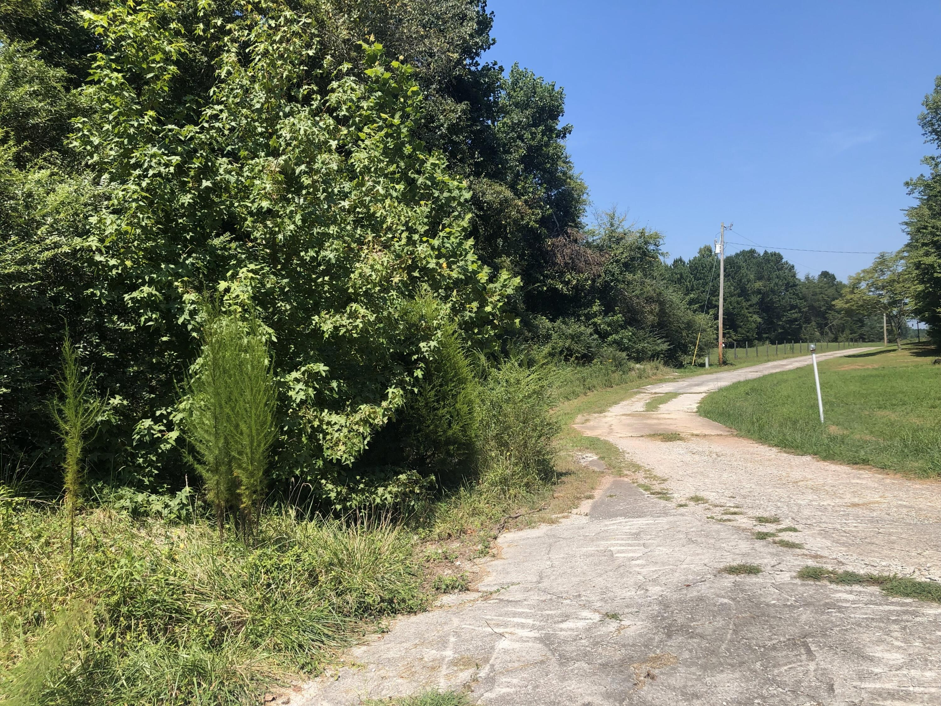 995 Keith Salem Road Ringgold, GA 30736 - Photo 6 of 10 IMG_3056