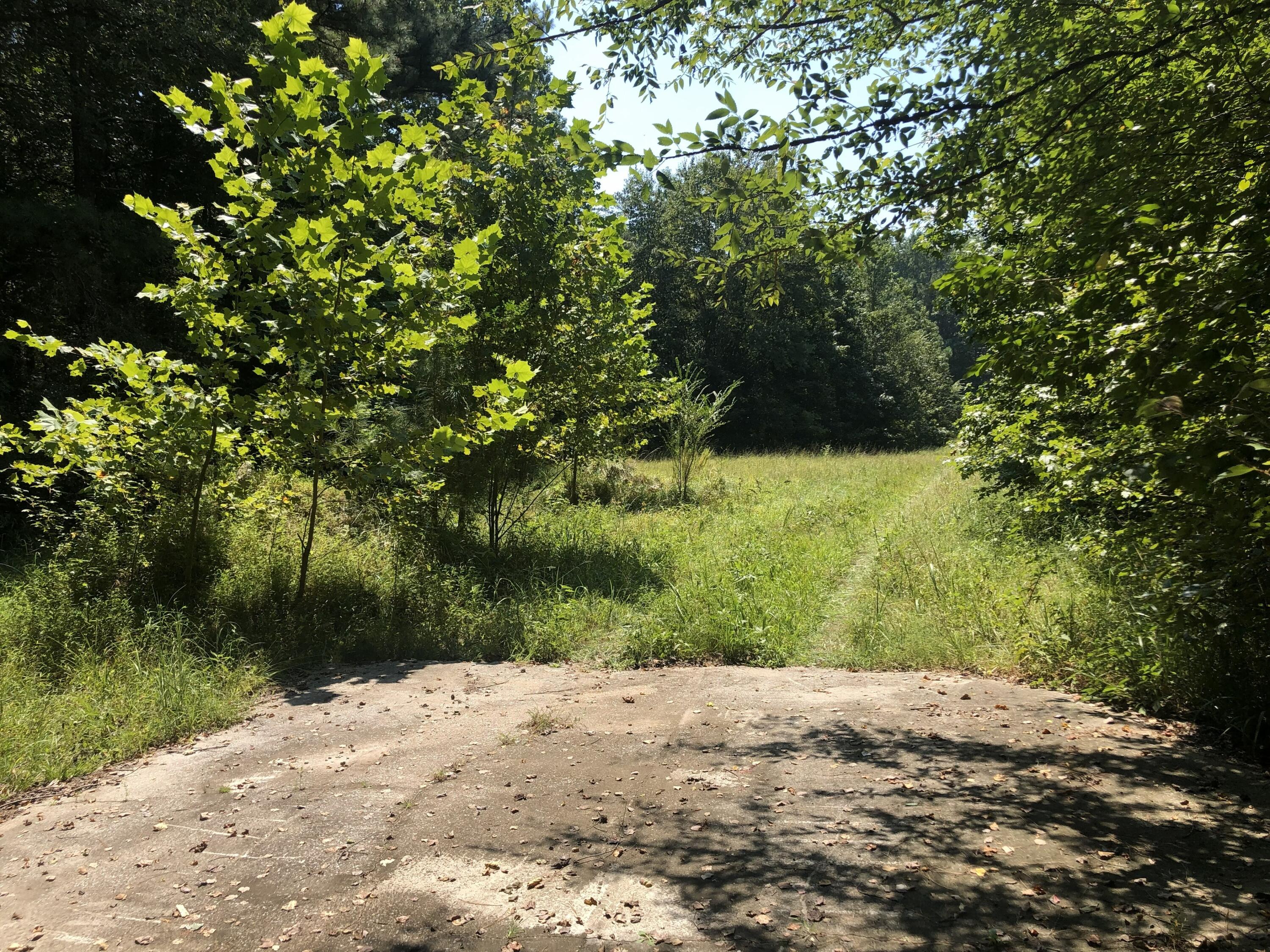 995 Keith Salem Road Ringgold, GA 30736 - Photo 7 of 10 IMG_3052