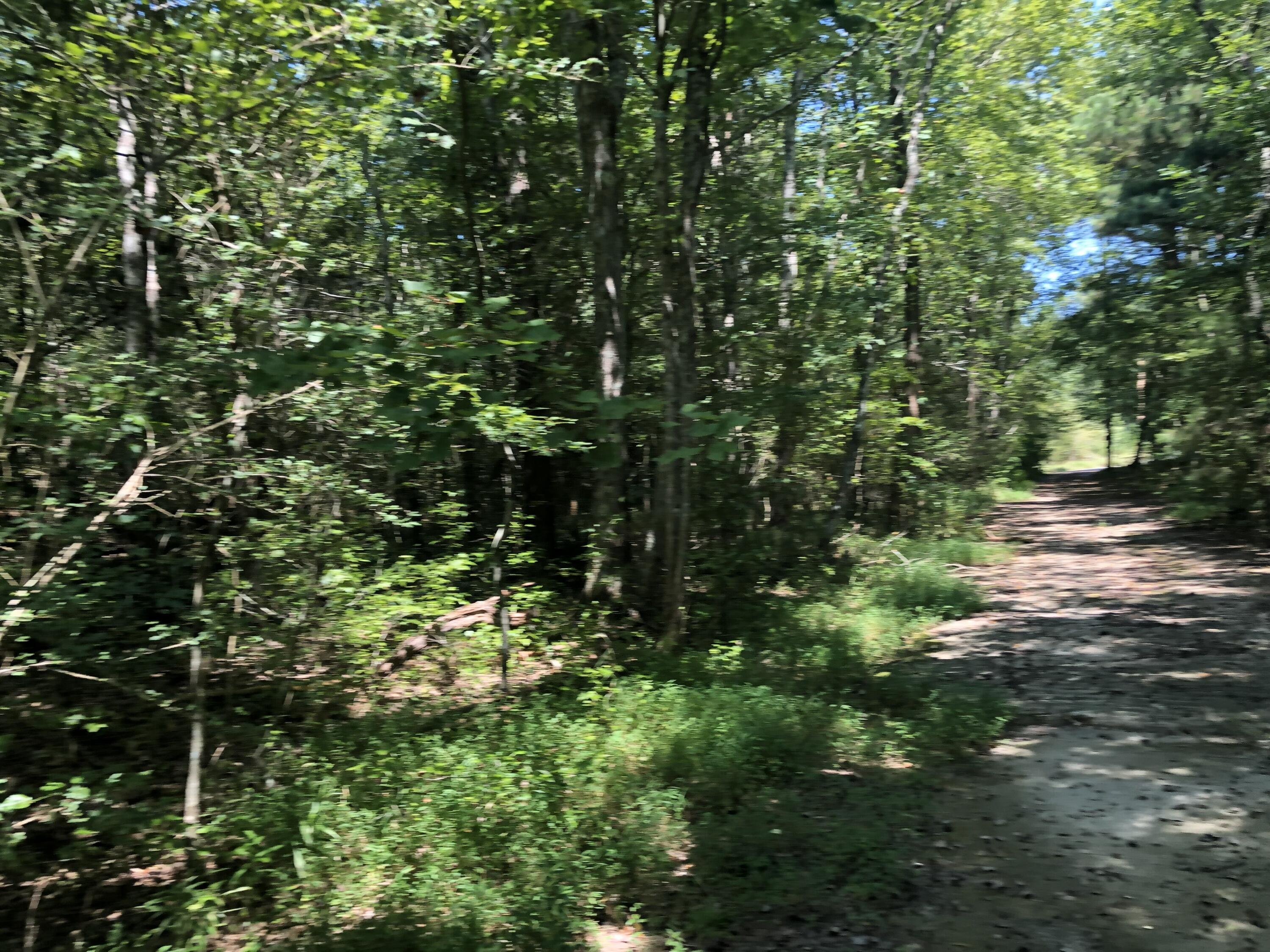 995 Keith Salem Road Ringgold, GA 30736 - Photo 9 of 10 IMG_3049