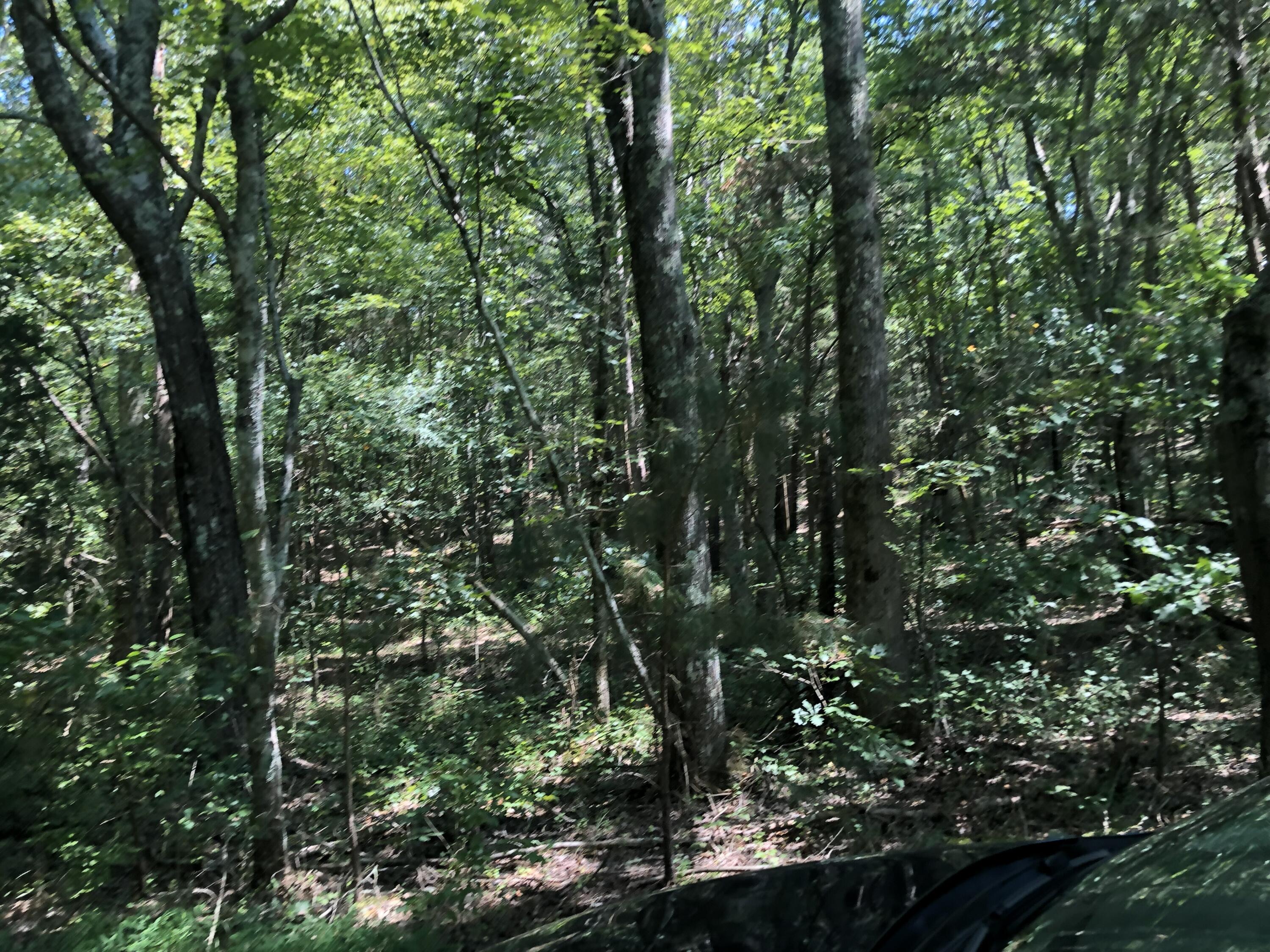 995 Keith Salem Road Ringgold, GA 30736 - Photo 10 of 10 IMG_3050