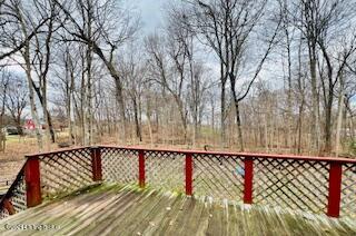 255 Bunger Road Ekron, KY 40117 - Photo 22 of 24 2nd Level Deck off Living Room