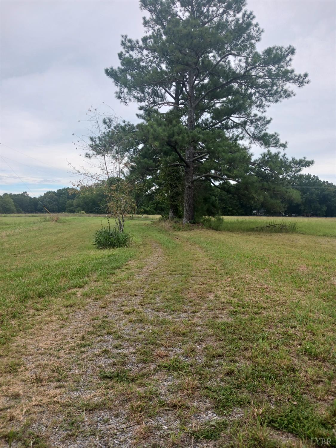 6301 Straightstone Road Long Island, VA 24569 - Photo 2 of 17 a view of a lake view