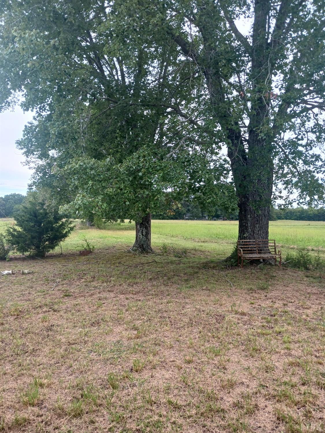 6301 Straightstone Road Long Island, VA 24569 - Photo 3 of 17 a view of a yard with a tree