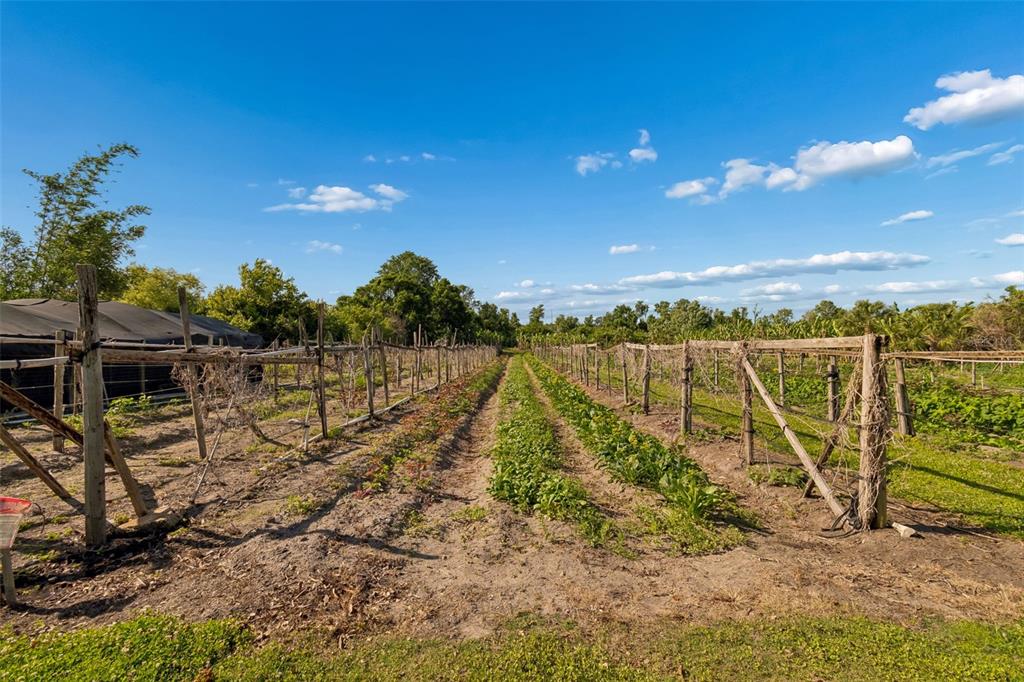 11101 Sumner Road Wimauma, FL 33598 - Photo 19 of 35 Gallery Image 19