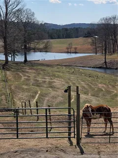 a view of a lake with an outdoor seating