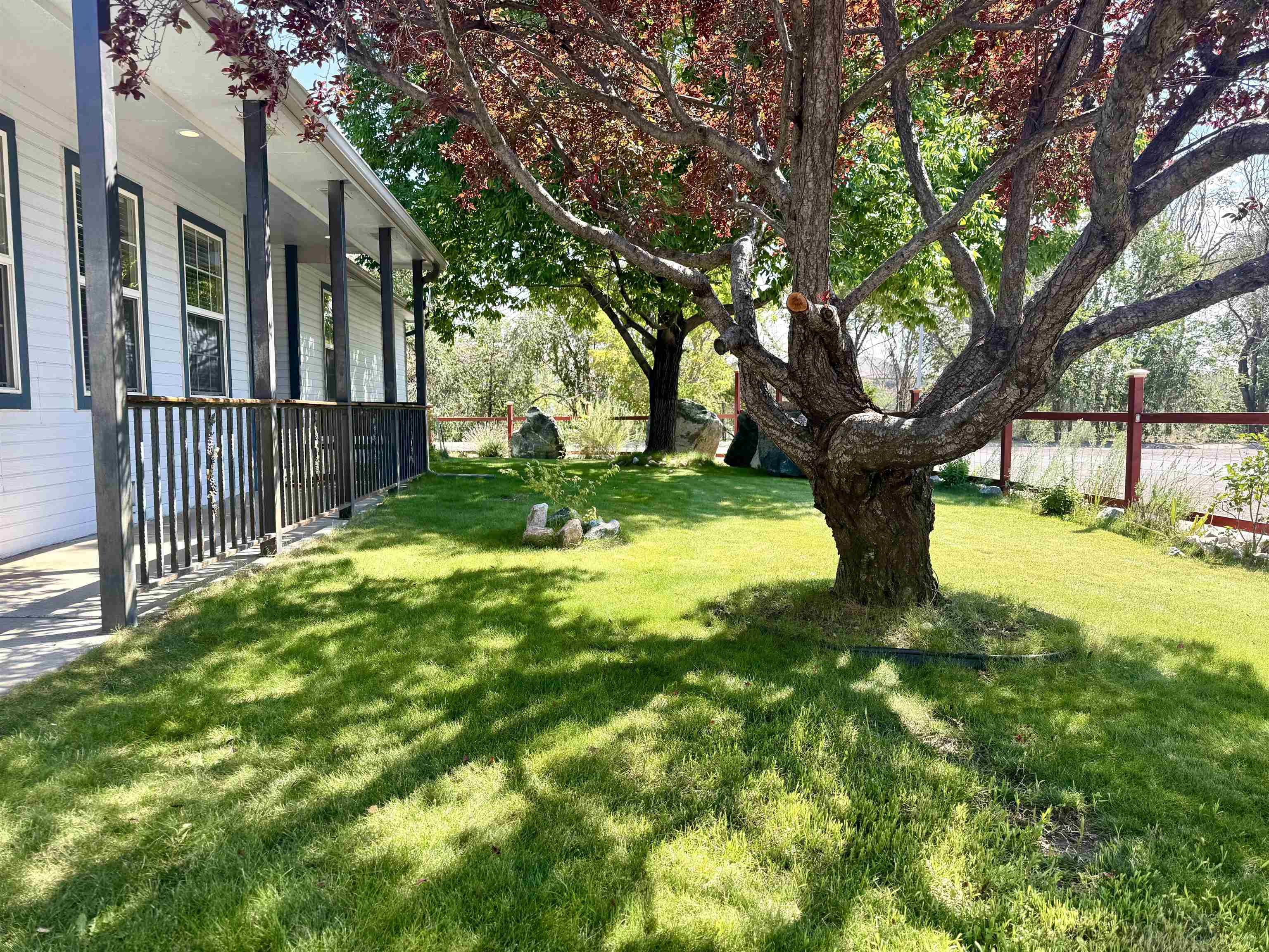 819 Elberta Avenue Palisade, CO 81526 - Photo 15 of 40 a view of a yard in front of house with a large tree