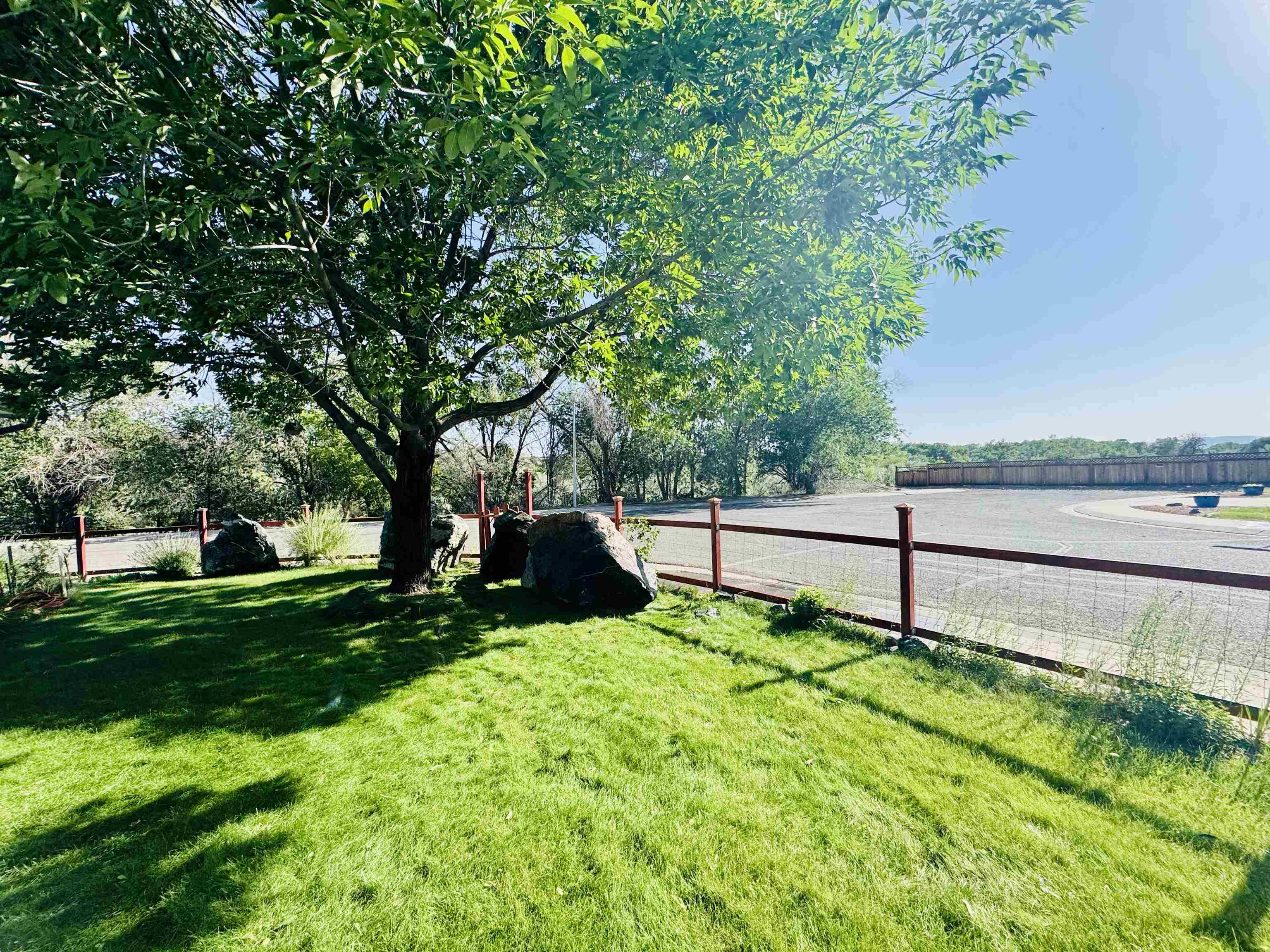 819 Elberta Avenue Palisade, CO 81526 - Photo 26 of 40 a view of park and trees