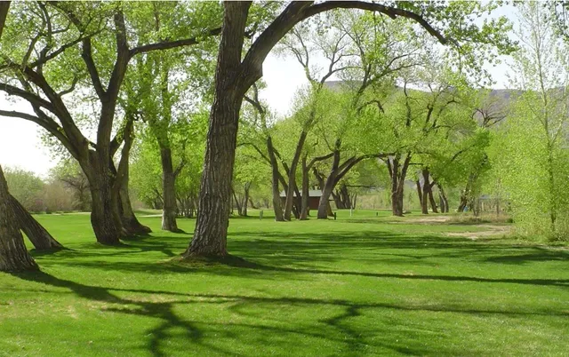 $539,000 | 819 Elberta Avenue, Palisade, CO 81526