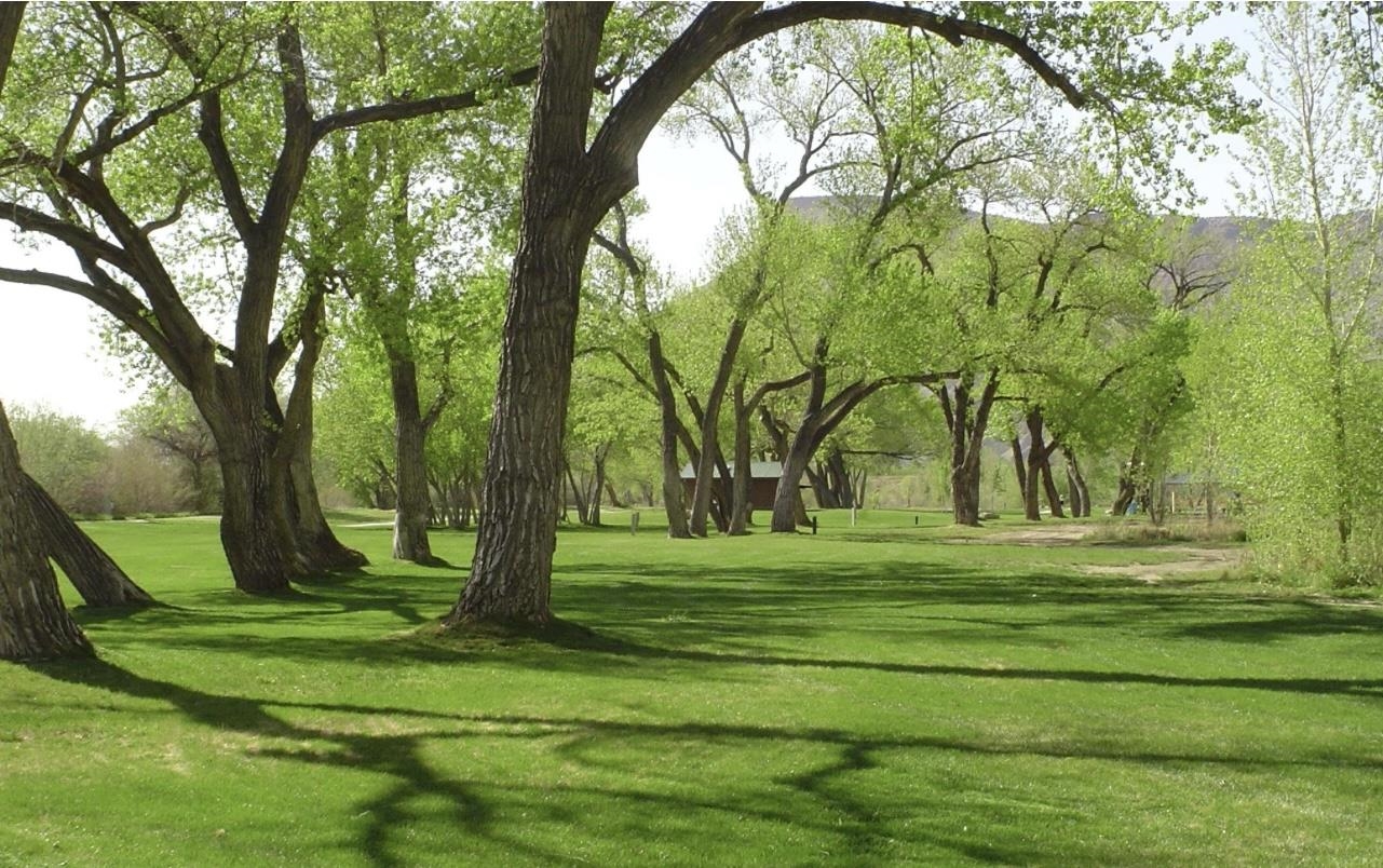 819 Elberta Avenue Palisade, CO 81526 - Photo 35 of 40 a view of a park with large trees