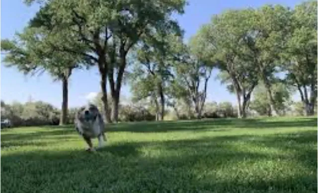 $539,000 | 819 Elberta Avenue, Palisade, CO 81526