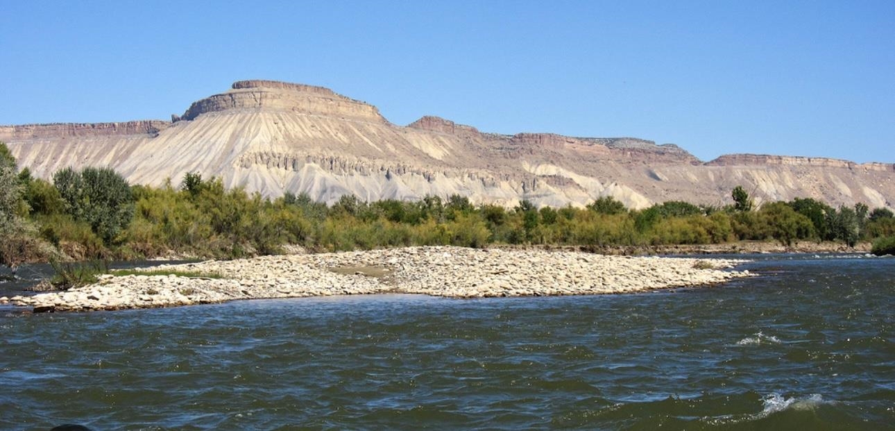 819 Elberta Avenue Palisade, CO 81526 - Photo 37 of 40