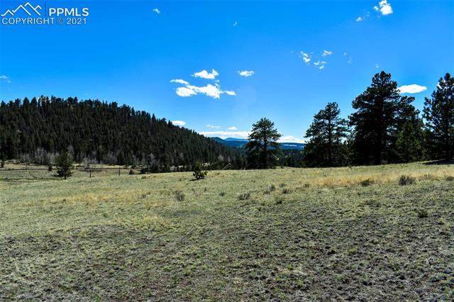 Lot 60 B Road Guffey, CO 80820 - Photo 21 of 28