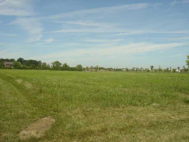 0 Woerner Temple Road Dublin, OH 43016 - Photo 3 of 9