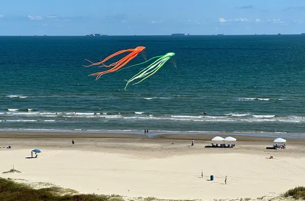 a view of a pool in a yard
